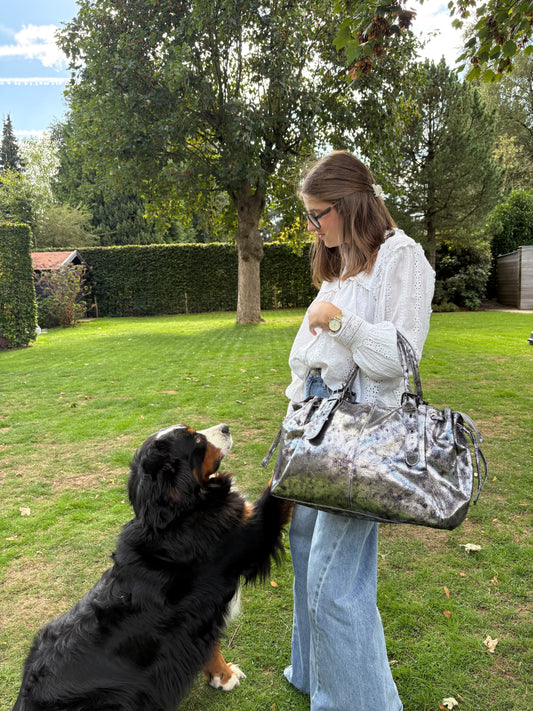Sac Cléa argenté
