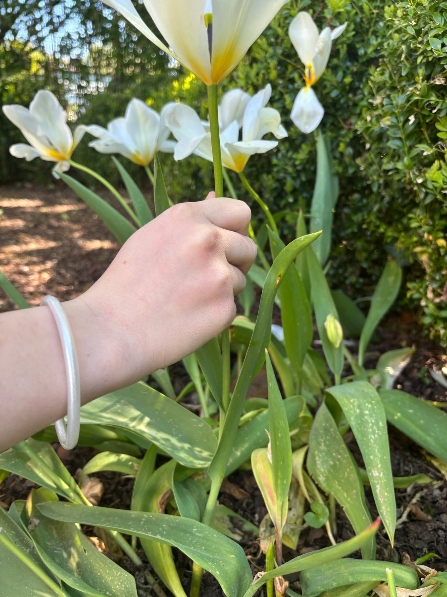 Bracelet jonc Aude pailleté