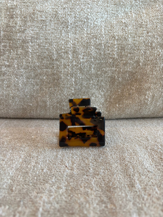 Pince brune tachetée